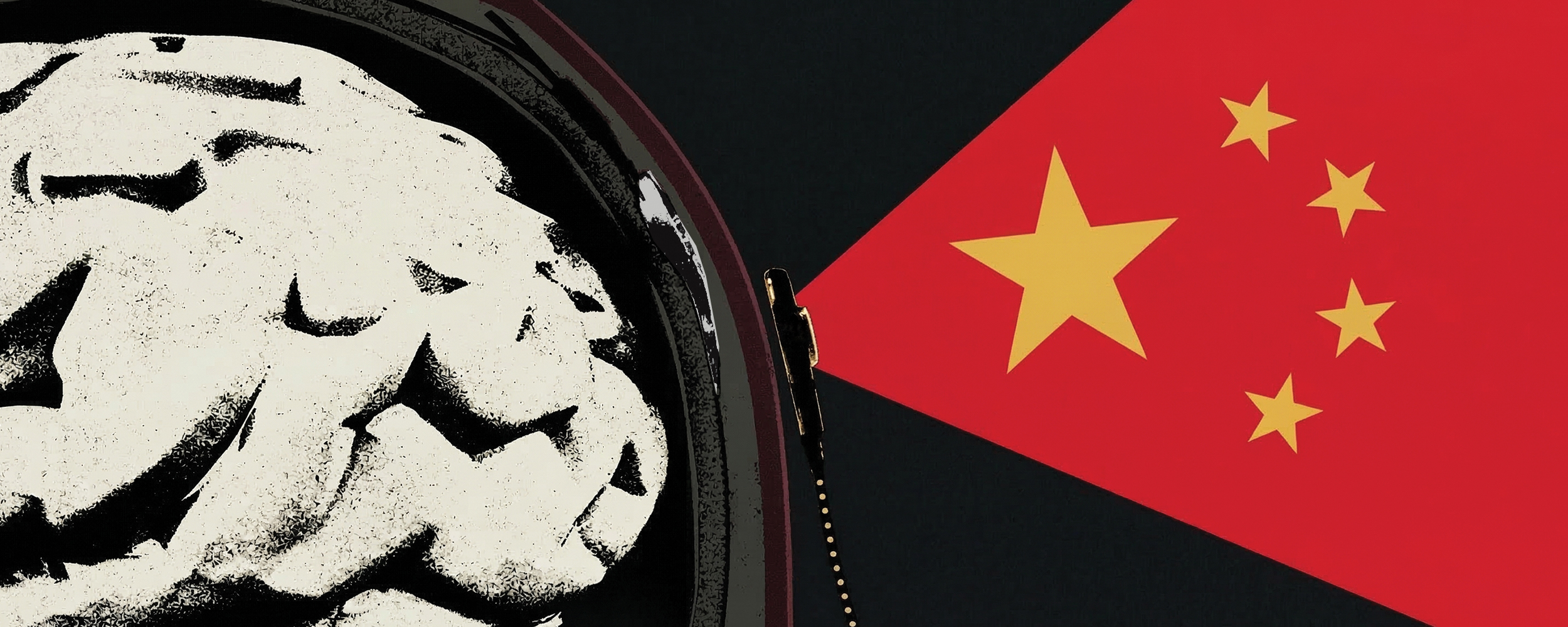 China's sprint into brain-computer interfaces